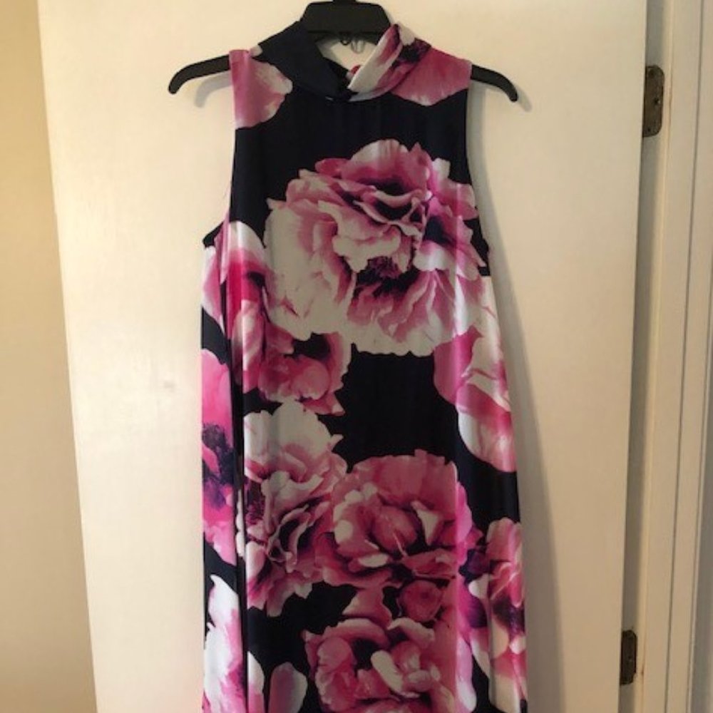 Eliza J Floral Print Chiffon Trapeze Dress